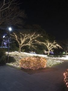 湘南の宝石