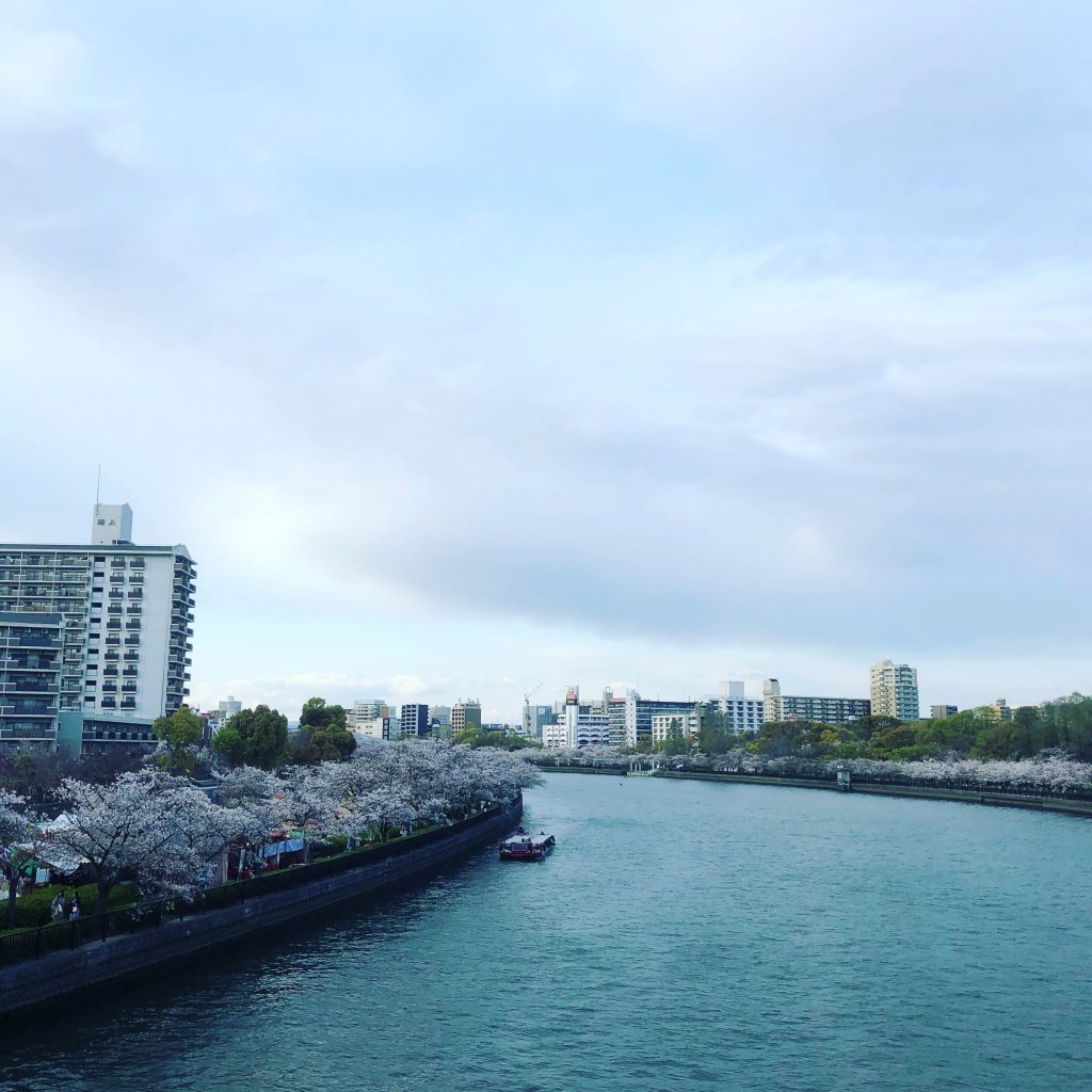 橋の上から見る大阪
