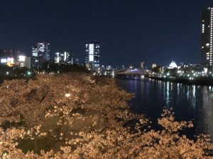 桜ノ宮夜桜