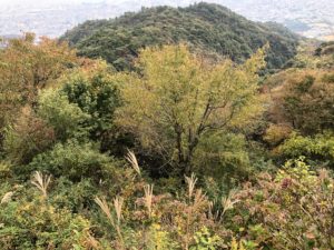 六甲山頂からの景色３