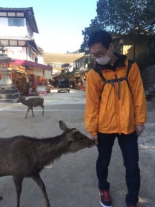 なぜか寄って来る鹿さん