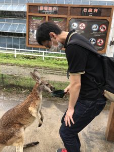 カンガルーに餌をあげるカツヒコ.jp