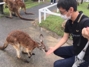 カンガルーに餌をあげるカツヒコ.jp