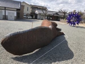 巨大オオサンショウウオ