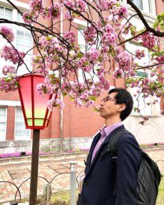 造幣局桜の通り抜け